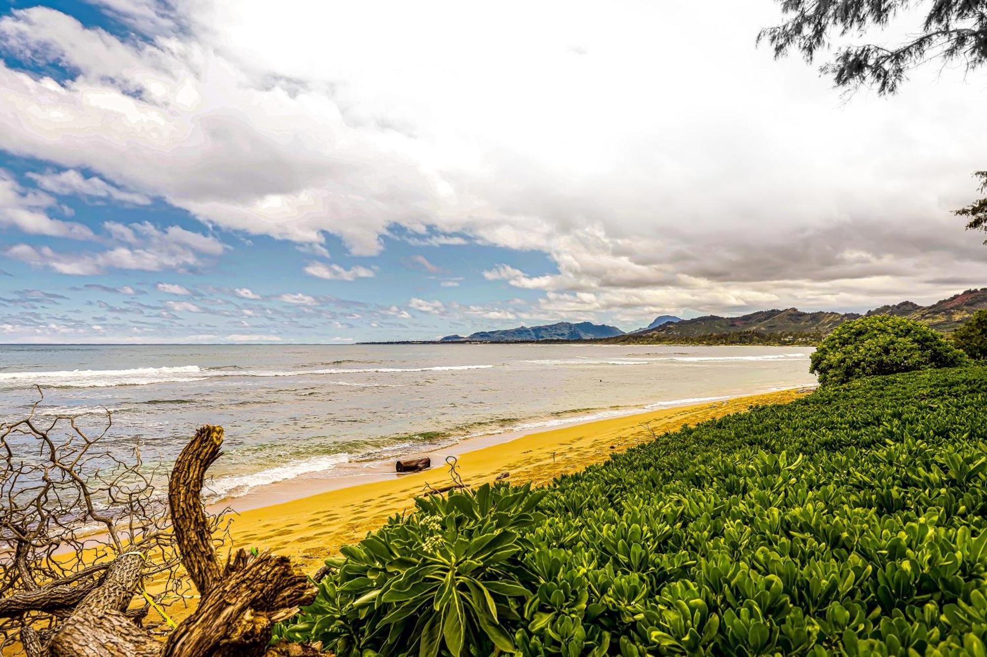 Islander On The Beach 170 Kapa'a Exteriér fotografie
